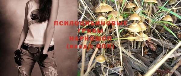 МДПВ Балабаново