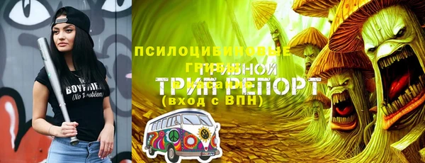 ГАЛЛЮЦИНОГЕННЫЕ ГРИБЫ Балахна