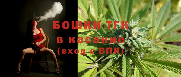 ГАЛЛЮЦИНОГЕННЫЕ ГРИБЫ Балахна
