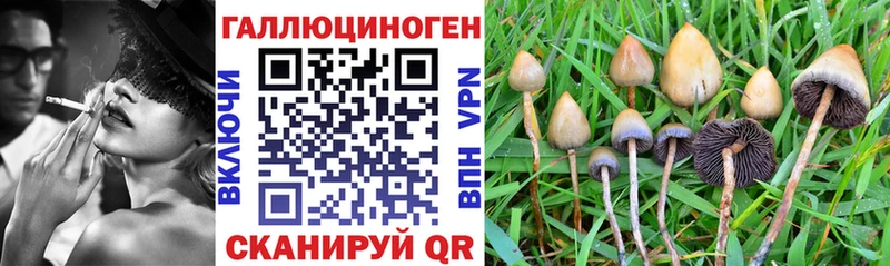 Галлюциногенные грибы Magic Shrooms ссылка на мегу ссылки Первомайск